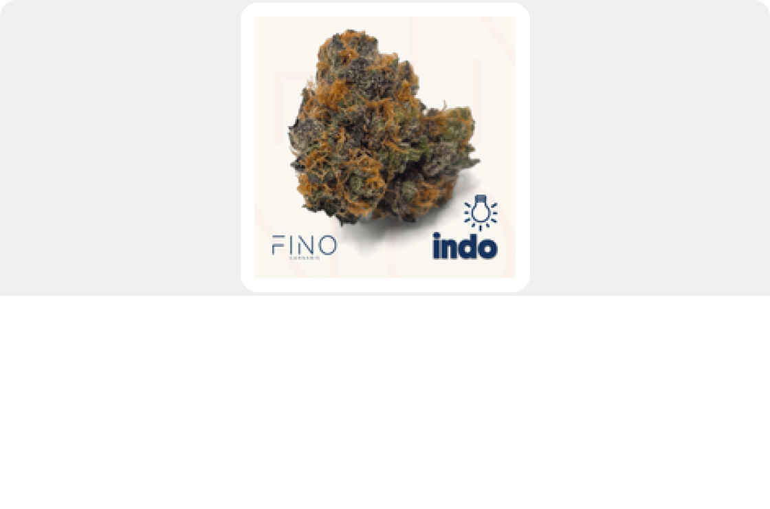 Fino Cannabis