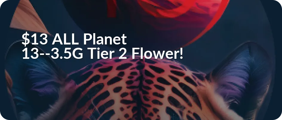 Planet 13