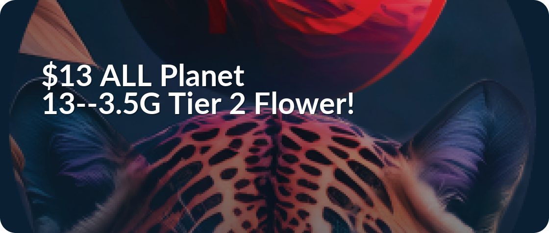 Planet 13
