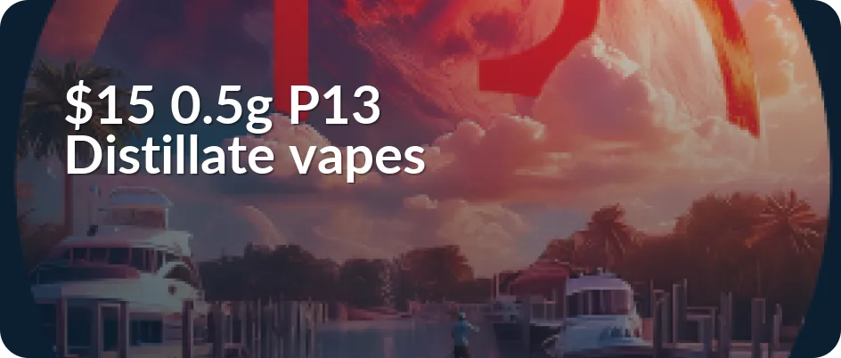 Planet 13