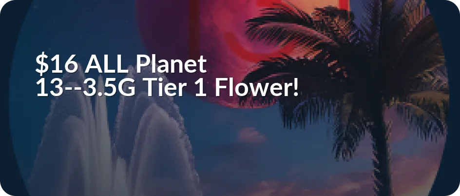 Planet 13