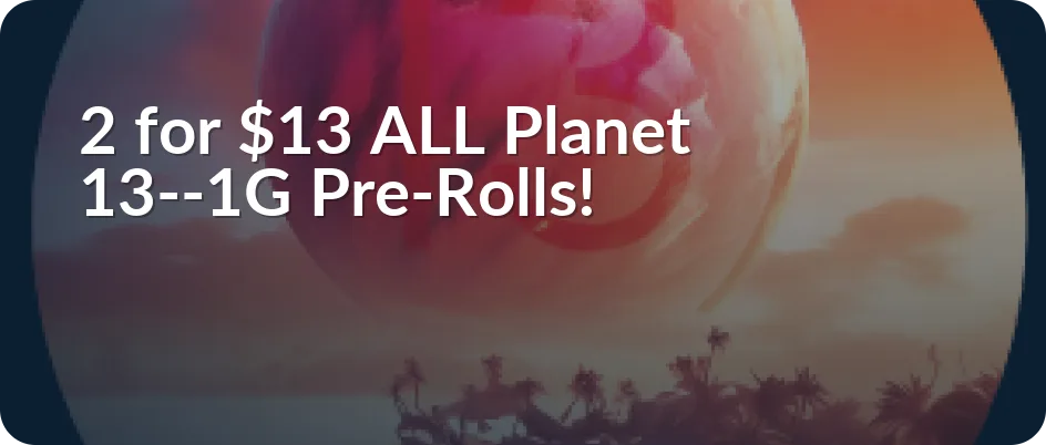 Planet 13