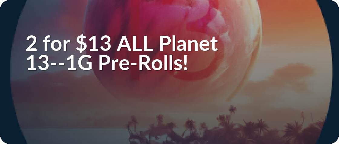 Planet 13