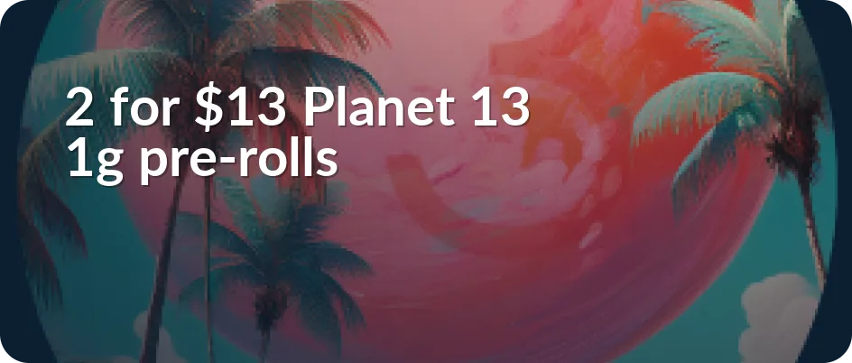 Planet 13