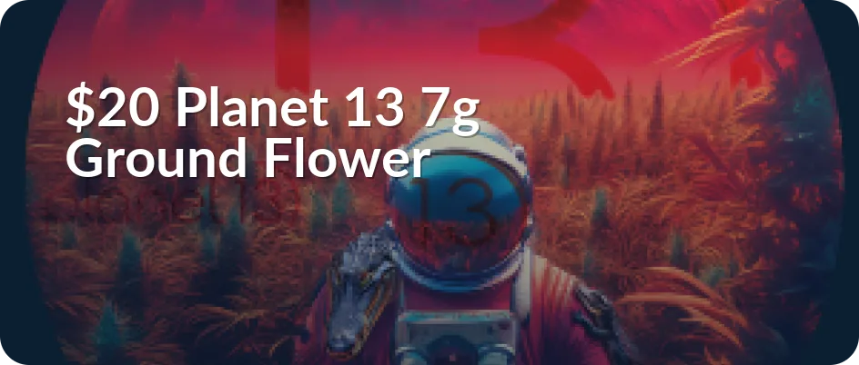 Planet 13