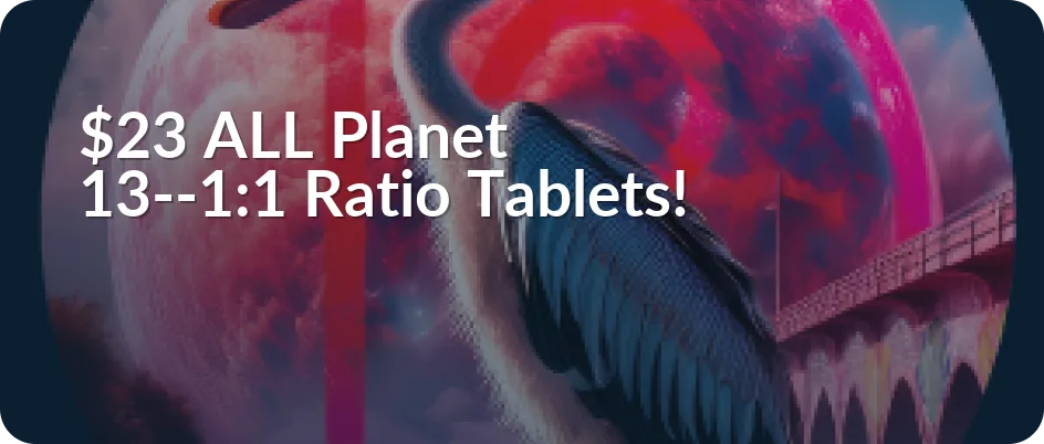 Planet 13