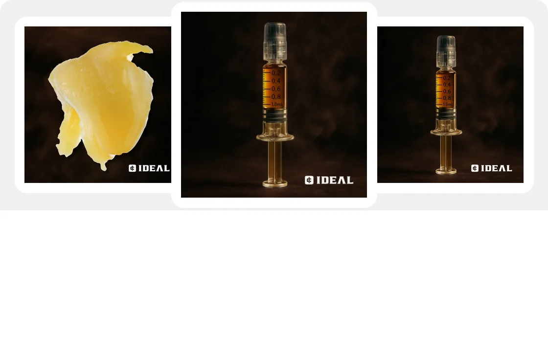 Goldflower Daily deal