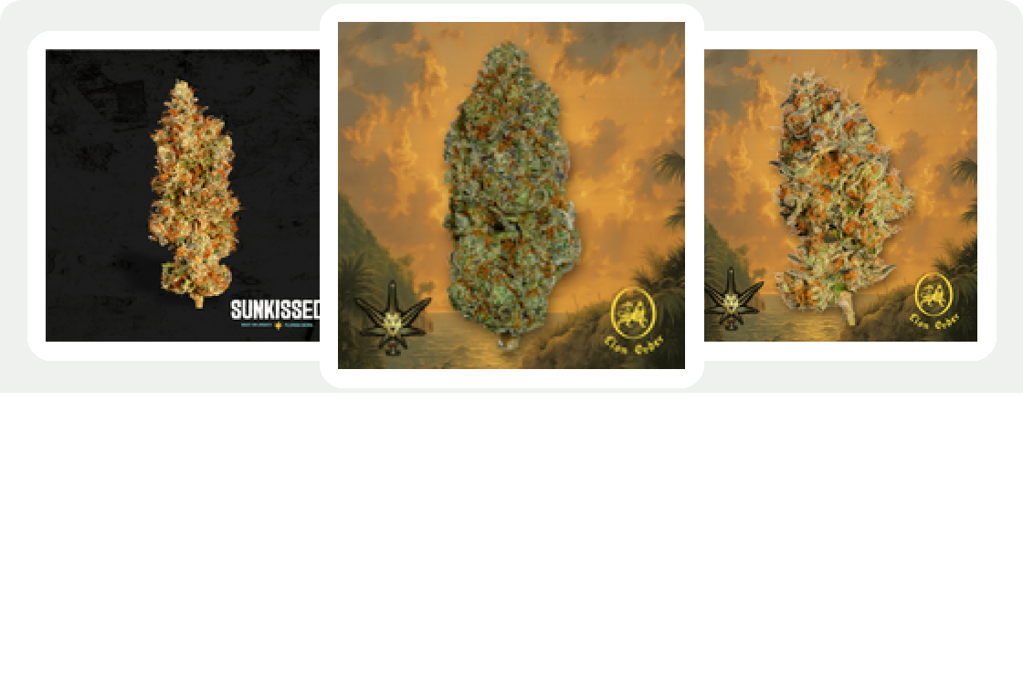 Goldflower