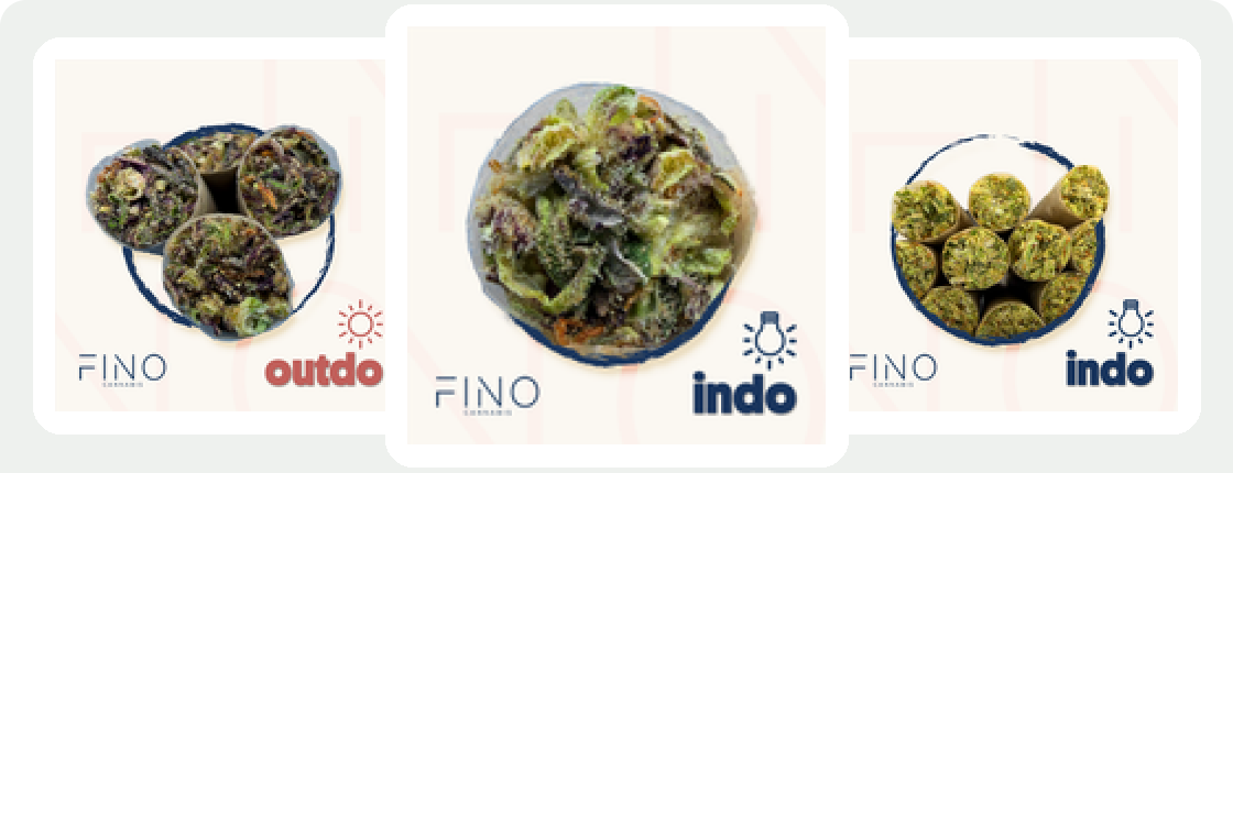 Fino Cannabis