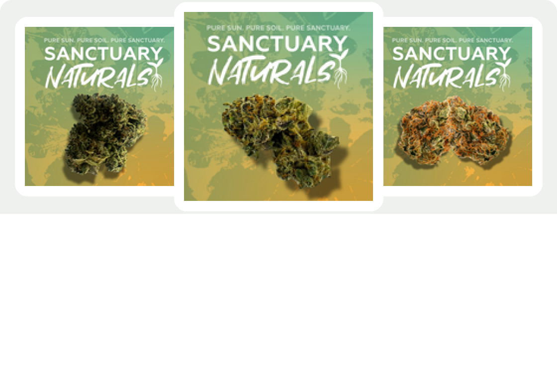 Sanctuary